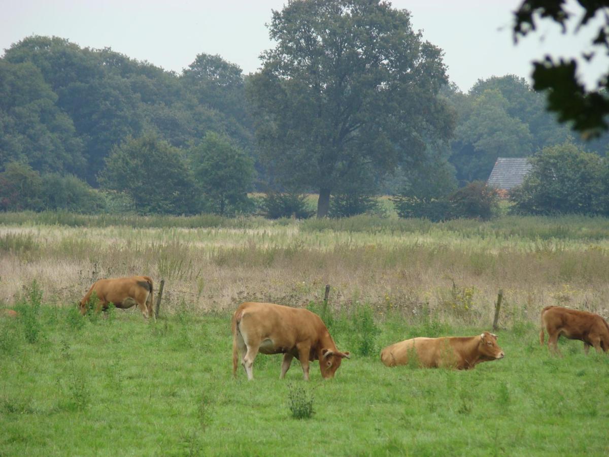 B&B Onder Ons Riet Cromvoirt Luaran gambar