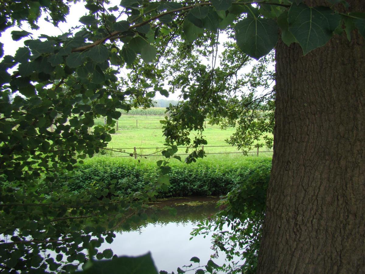 B&B Onder Ons Riet Cromvoirt Luaran gambar